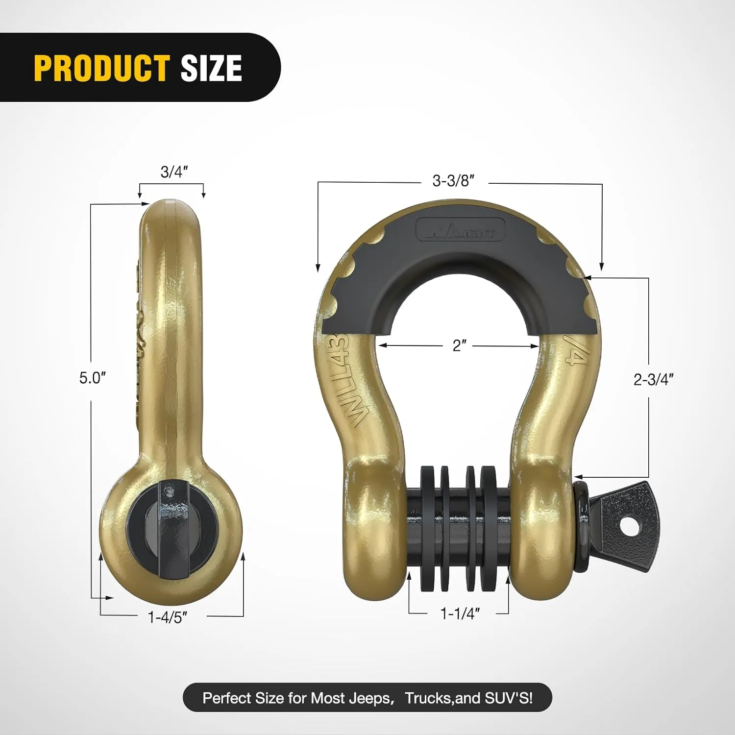 3/4 inch D-Ring Shackle Gold (Pair)