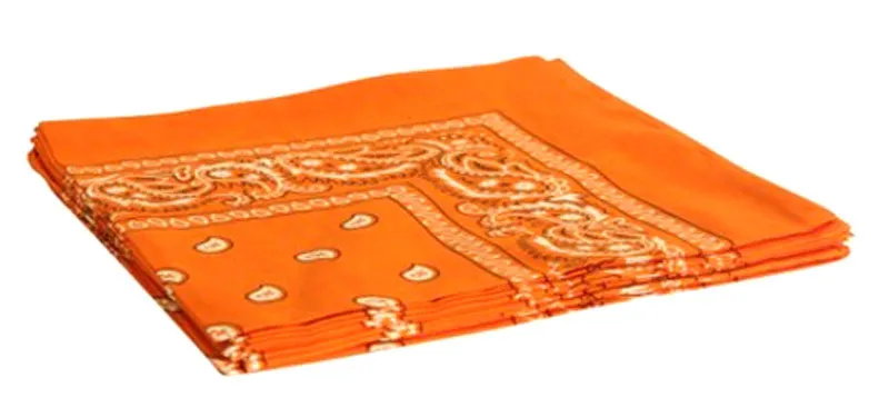 Paisley Print Bandannas Wholesale