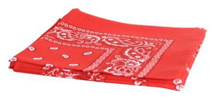 Paisley Print Bandannas Wholesale
